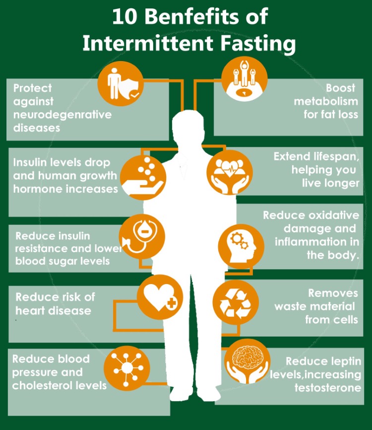 benefits of fasting for a day