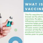 Stay Flu-Free and Thrive, Remarkable Benefits of the Flu Vaccine benefits of flu vaccine