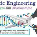 The Power of Genetic Engineering, Incredible Benefits benefits of genetic engineering