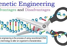 The Power of Genetic Engineering, Incredible Benefits benefits of genetic engineering