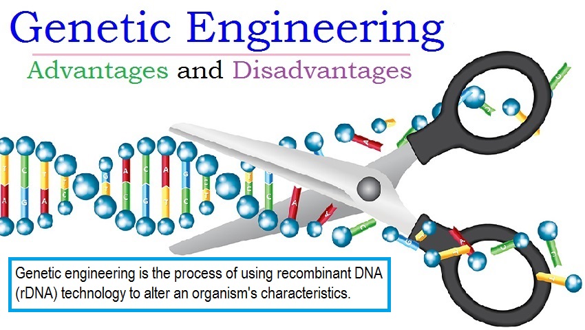 benefits of genetic engineering