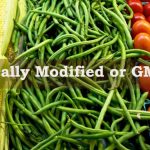 The Incredible Benefits of GMO, A Paradigm Shift in Agriculture benefits of gmo