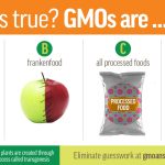 Power of GMO Crops, their Incredible Benefits benefits of gmo crops