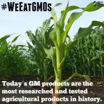 Remarkable Benefits of GMOs, Enhancing Food Security, Nutrition, and Sustainability benefits of gmos