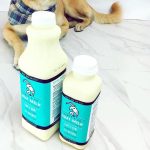 The Pawsome Benefits of Goat Milk for Dogs benefits of goat milk for dogs