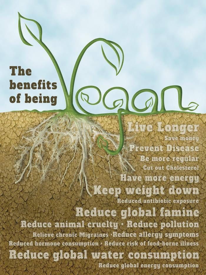 benefits of going vegan