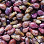 The Power of Grape Seed Extract, Incredible Benefits Revealed benefits of grape seed extract