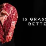 Grass Fed Beef, the Incredible Health Benefits of Going Green benefits of grass fed beef