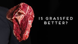 benefits of grass fed beef