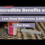 The Power of LDN, Surprising Benefits of This Game-Changing Treatment benefits of ldn
