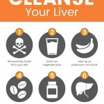 Revitalize Your Body, Astonishing Benefits of Liver Detox benefits of liver detox