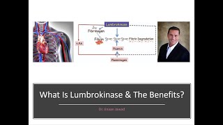 benefits of lumbrokinase