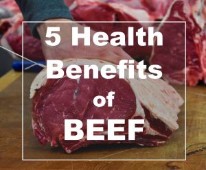benefits of meat