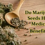 The Extraordinary Benefits of Medical Marijuanas, A Pathway to Holistic Healing benefits of medical marijuanas