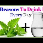 Refreshing and Rejuvenating, Incredible Benefits of Mint Water benefits of mint water