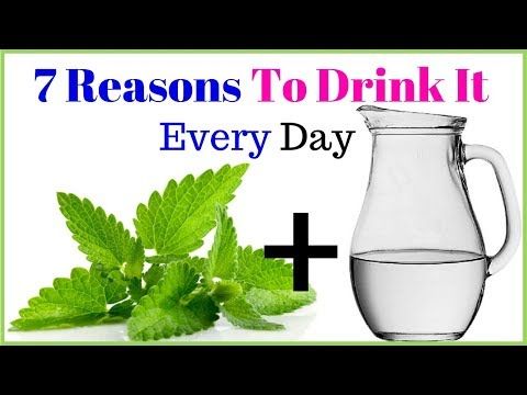 benefits of mint water