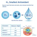The Power of Molecular Hydrogen, Its Incredible Benefits benefits of molecular hydrogen