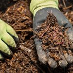 The Hidden Magic, 7 Incredible Benefits of Mulch benefits of mulch
