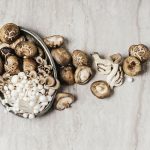 The Magic, 5 Incredible Benefits of Mushroom Supplements benefits of mushroom supplements
