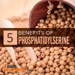 The Power Within, Incredible Benefits of Phosphatidylserine benefits of phosphatidylserine
