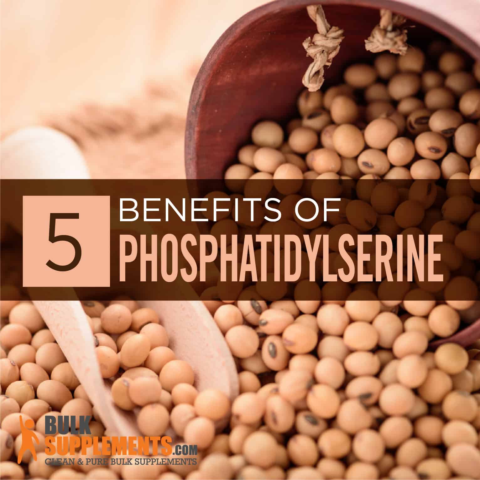 benefits of phosphatidylserine