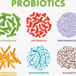 Hidden Power, 7 Incredible Benefits of Probiotics for Your Health benefits of probiotics