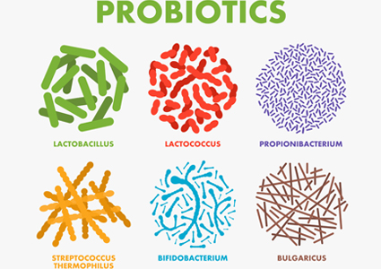 benefits of probiotics