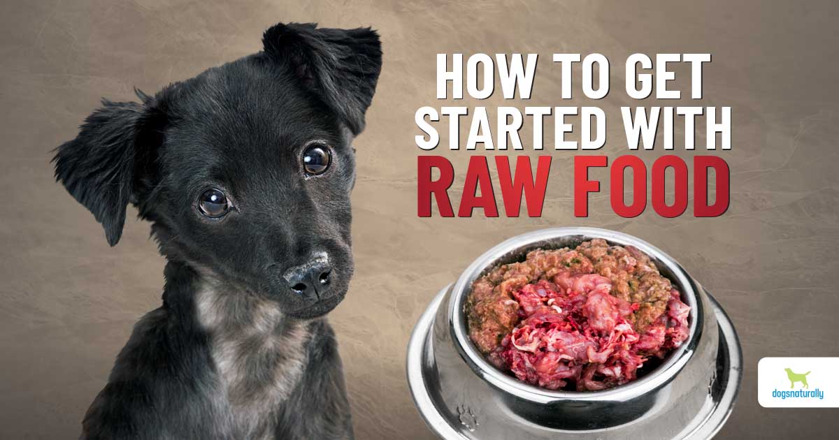 benefits of raw diet for dogs