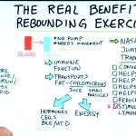 Bounce Your Way to Better Health, Incredible Benefits of Rebounding benefits of rebounding