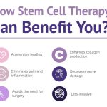 The Power of Stem Cells, Incredible Benefits benefits of stem cells