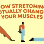 Flex Your Way to a Healthier You, Incredible Benefits of Stretching Daily benefits of stretching daily