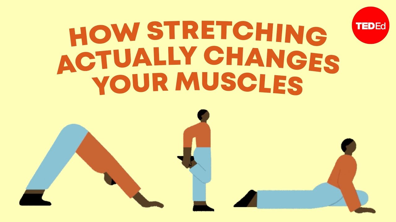 benefits of stretching daily