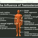 Your Inner Power, Incredible Benefits of Testosterone Supplements benefits of testosterone supplements