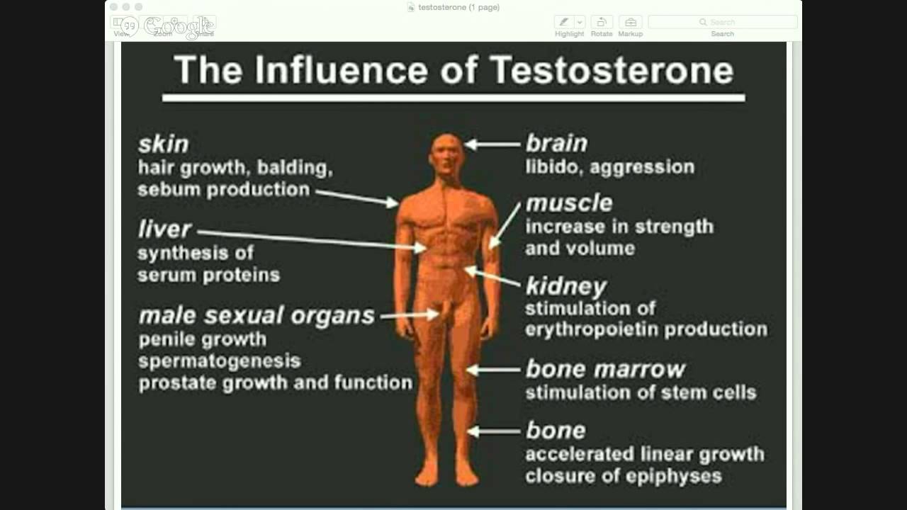 benefits of testosterone supplements
