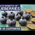 The Powerhouse, 7 Remarkable Benefits of Wild Blueberries benefits of wild blueberries