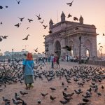 Boston to Mumbai Your Ultimate Travel Guide boston to mumbai