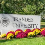 Brandeis University Acceptance Rate the Numbers and Insights brandeis university acceptance rate