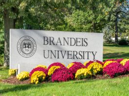 brandeis university acceptance rate