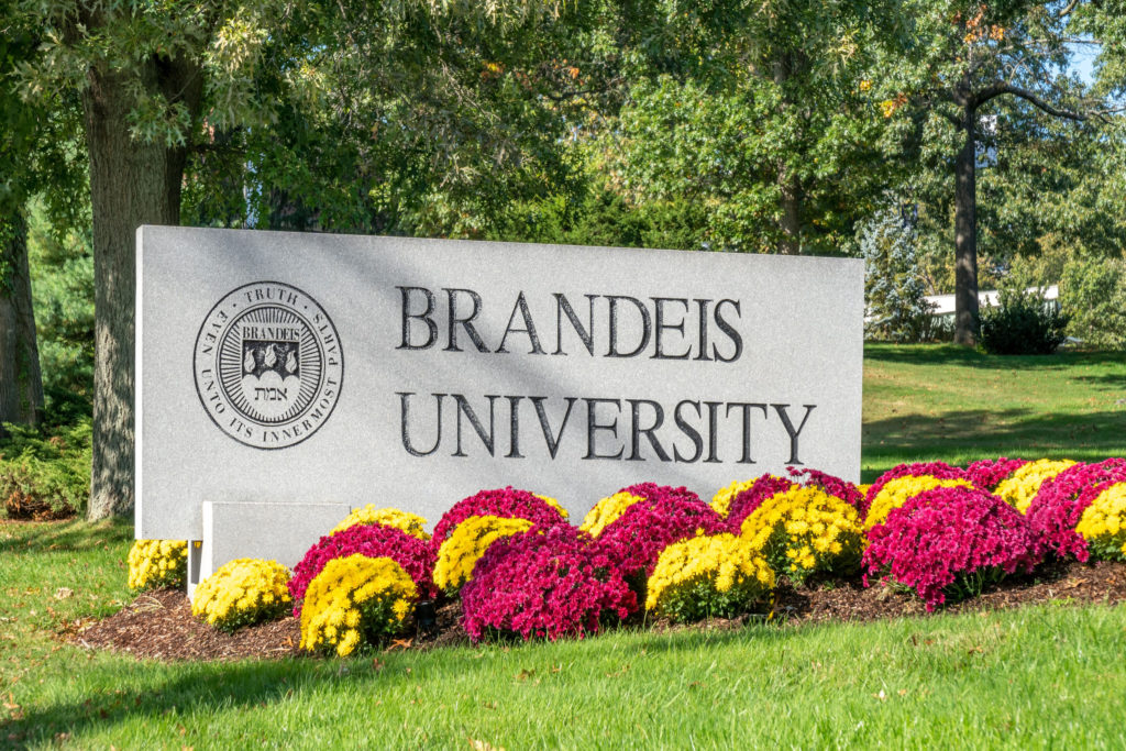 Brandeis University Acceptance Rate the Numbers and Insights