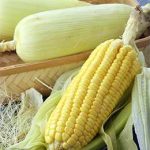 corn glycemic index
