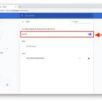 Flash Forward:Chrome with Enabling Flash enabling flash in chrome