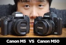 EOS M5 vs M50: Comparison of Canon’s Mirrorless Cameras eos m5 vs m50