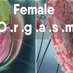 The Secrets of the Female Orgasm, A Journey to Pleasure female orgasm