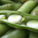 Bean Power, Incredible Health Benefits of Beans health benefits of beans