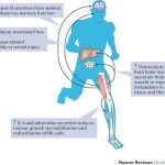 Sweat Your Way to a Healthier You, Incredible Health Benefits of Exercise health benefits of exercise