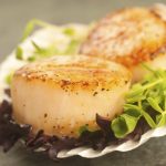 Hidden Treasures, Remarkable Health Benefits of Scallops health benefits of scallops