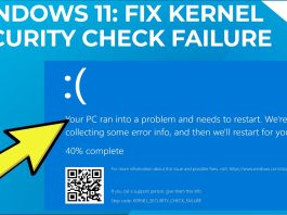 kernel security check failure