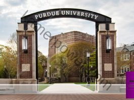 The Inside Scoop Purdue Engineering Acceptance Rate Revealed purdue engineering acceptance rate