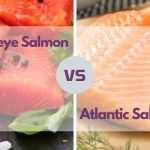 Sockeye Salmon vs. Atlantic Salmon:The Differences sockeye salmon versus atlantic salmon