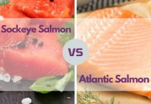 Sockeye Salmon vs. Atlantic Salmon:The Differences sockeye salmon versus atlantic salmon